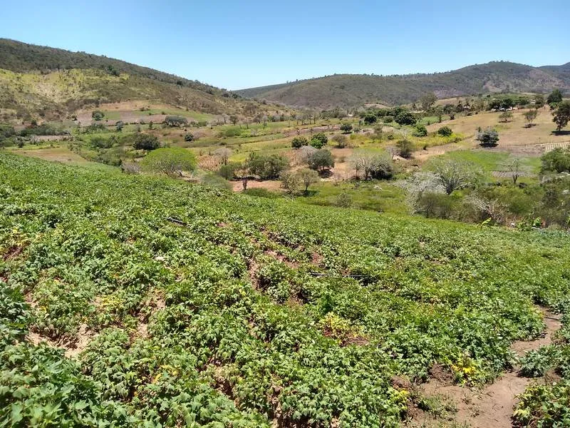 Terras próximas à barragem do Bálsamo pertenciam à família Vitório Cavalcante