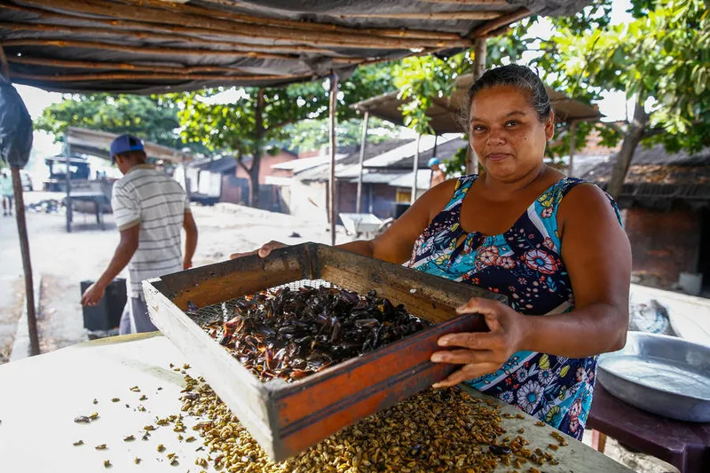 Marisqueiras dizem que os clientes sumiram depois do surgimento das manchas no litoral