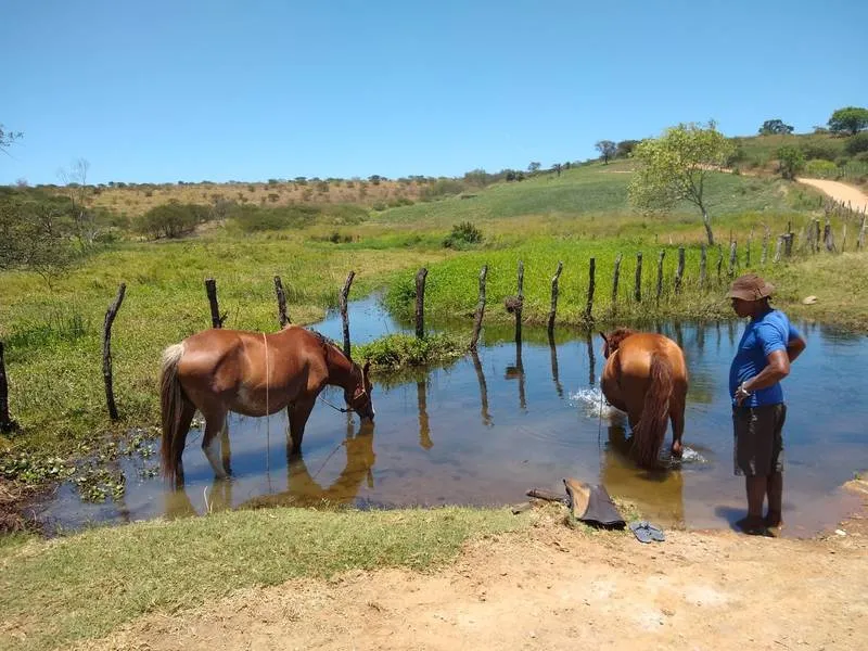 Manancial não atende agricultura de Alagoas e não tem política de uso racional da água