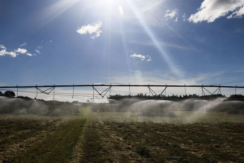 No próximo ano, o VBP da agricultura deverá crescer 7,2%, alcançando R$403 bilhões