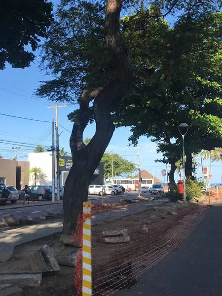 Imagem ilustrativa da imagem AVENIDA AMÉLIA ROSA PASSA POR REFORMA