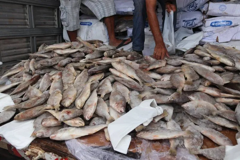 Doação de peixe na Semana Santa é muito comum nas cidades do interior do Nordeste