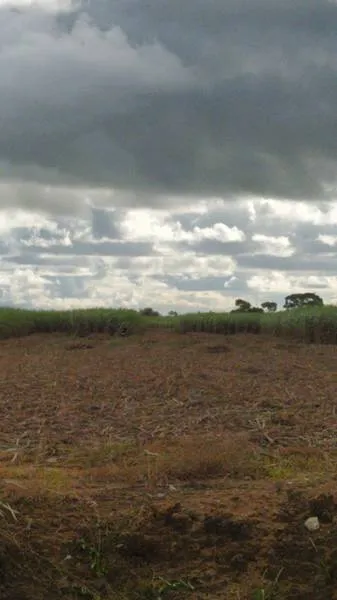 Terreno onde será construído o CT do CSA já está todo limpo e fica entre o aeroporto e o Benedito Bentes