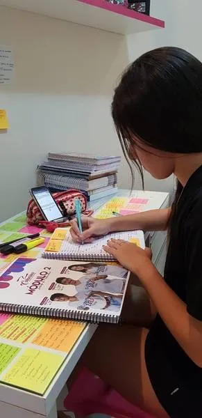 Imagem ilustrativa da imagem ENEM: Alunos se preparam para as provas estudando pela internet