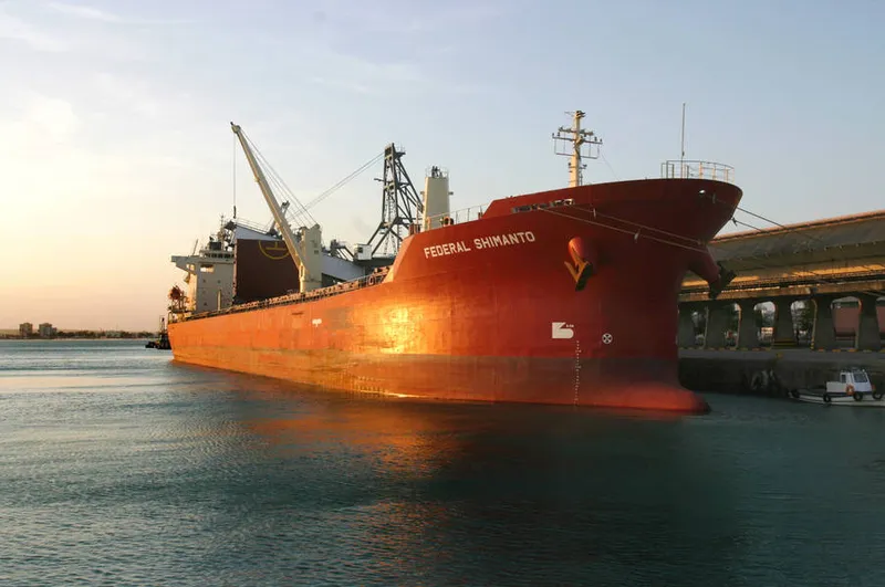 Importações alagoanos superaram as exportações em US$ 39,6 milhões no mês de agosto, diz ministério