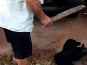 Imagem ilustrativa da imagem HOMEM É PRESO APÓS AGREDIR CÃO A PAULADAS EM BEBEDOURO