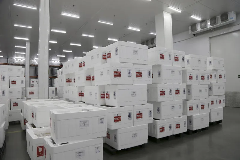 Doses a serem distribuídas para os estados foram separadas pelo Ministério da Saúde no aeroporto de Guarulhos