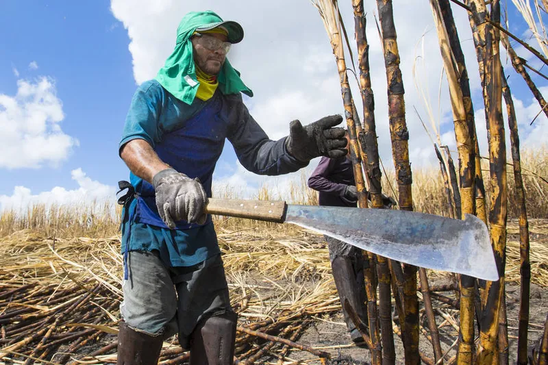 Usinas puxaram as contratações com carteira assinada em Alagoas no mês de setembro, aponta Caged