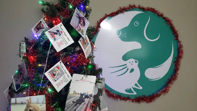 Imagem ilustrativa da imagem CAMPANHAS ARRECADAM PRESENTES PARA CRIANÇAS E ANIMAIS