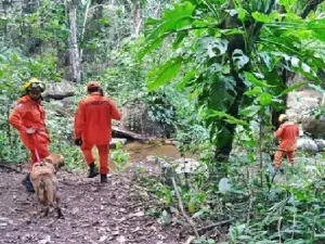 Imagem ilustrativa da imagem COM APOIO DE CÃO, IDOSO É ENCONTRADO EM MATA
