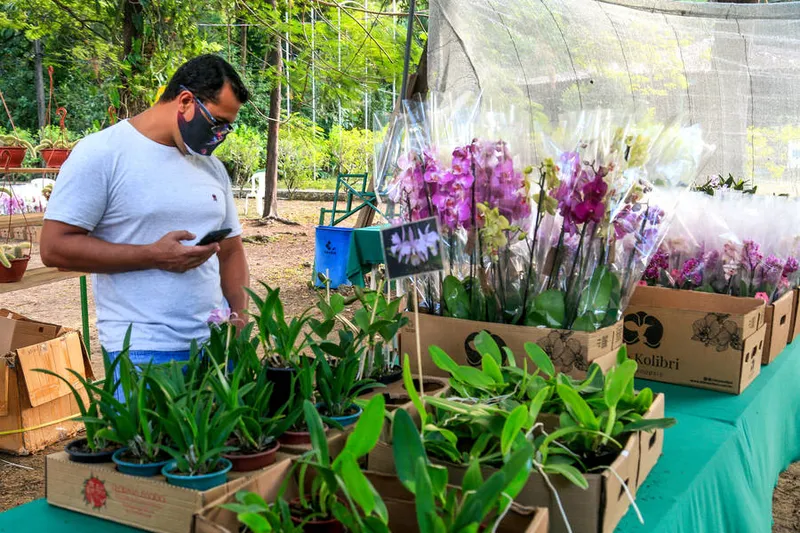 Maceió, 03 de dezembro de 2020 
Feira de Orquídeas e Bromélias na sede do Instituto Brasileiro do Meio Ambiente e dos Recursos Naturais Renováveis (Ibama), em Maceió. Alagoas - Brasil.
Foto:@Ailton Cruz