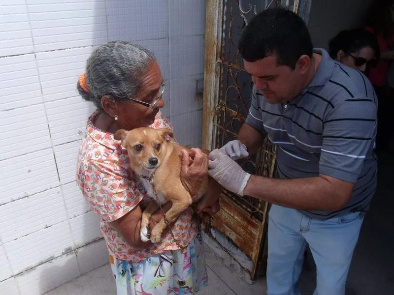 Imagem ilustrativa da imagem MACEIÓ REGISTRA CASO DE RAIVA APÓS ANOS SEM NOTIFICAÇÕES