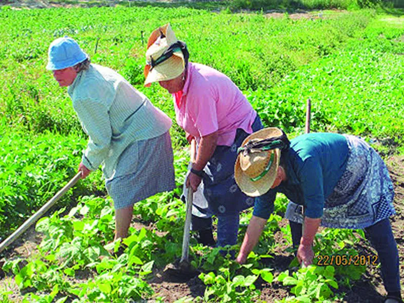 Presença feminina ganha destaque no setor rural brasileiro