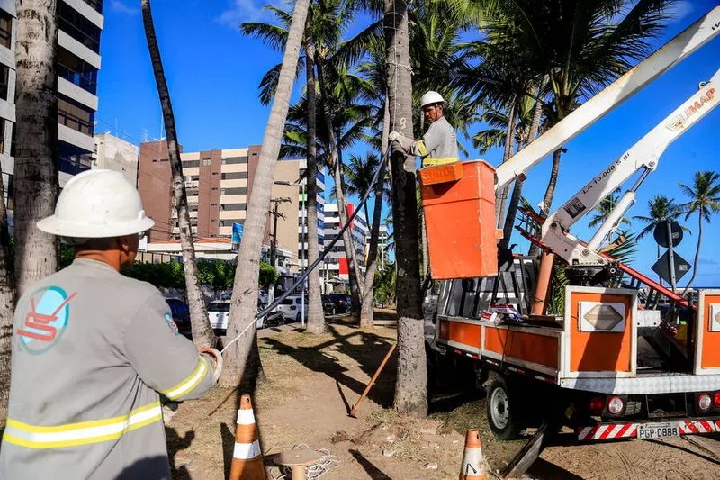 Maceió, 25 de novembro de 2020
Prefeitura realiza Decoração de Natal na orla da Ponta Verde em Maceió. Alagoas - Brasil.
Foto:@Ailton Cruz