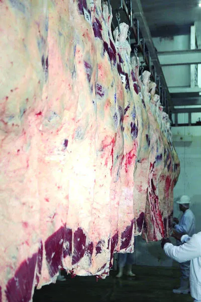 Com redução de oferta, preço da carne tem alta e consumidor começa a buscar alternativas
