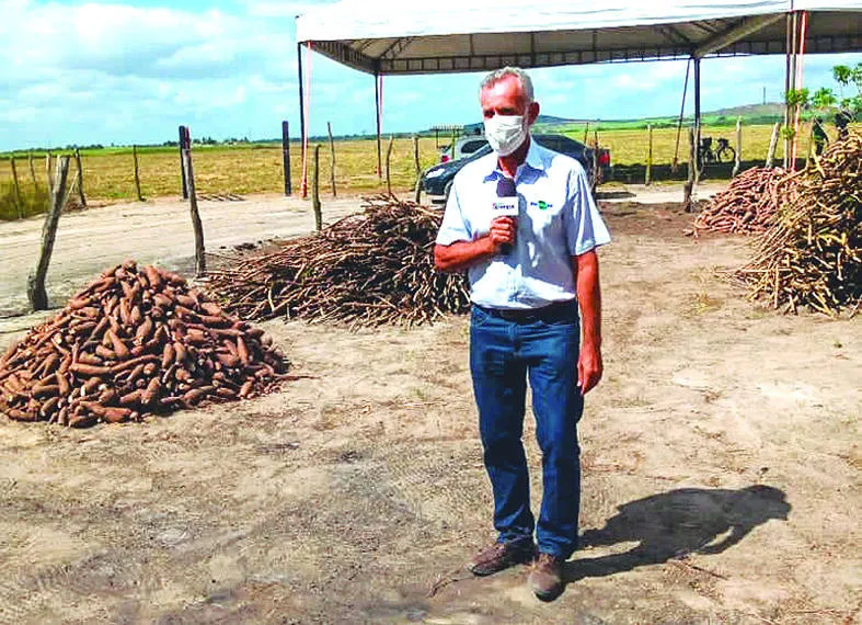 Para Santiago resultados das medições de produtividade após a colheita do experimento são surpreendentes