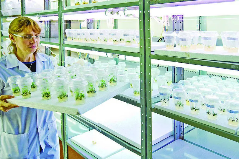Crescimento do mercado brasileiro de defensivos biológicos segue tendência mundial de redução do uso de agroquímicos para combater pragas e doenças nas lavouras