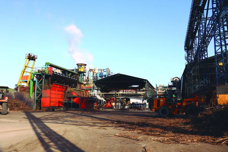 Dados da moagem são referentes a produção de apenas 13 unidades industriais do Estado