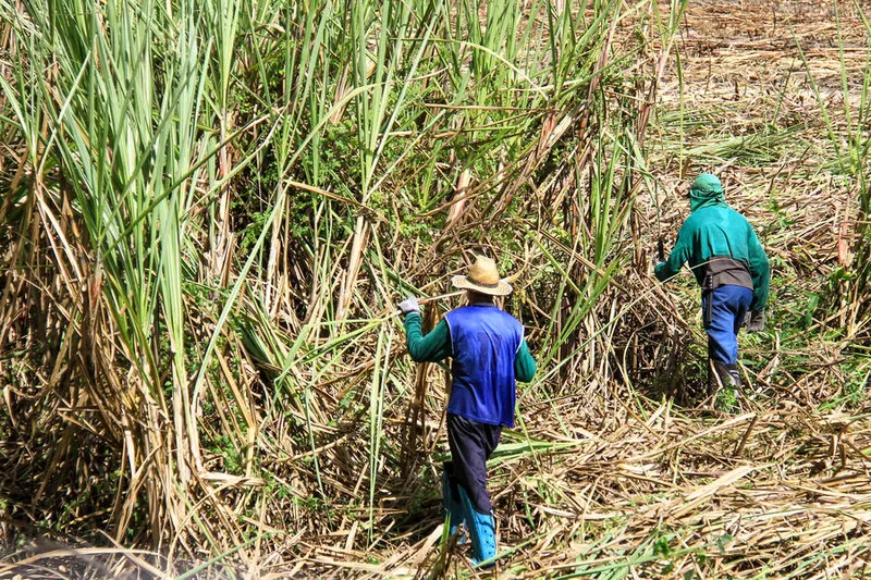 Homens foram os mais afetados pelas demissões, segundo pesquisa

