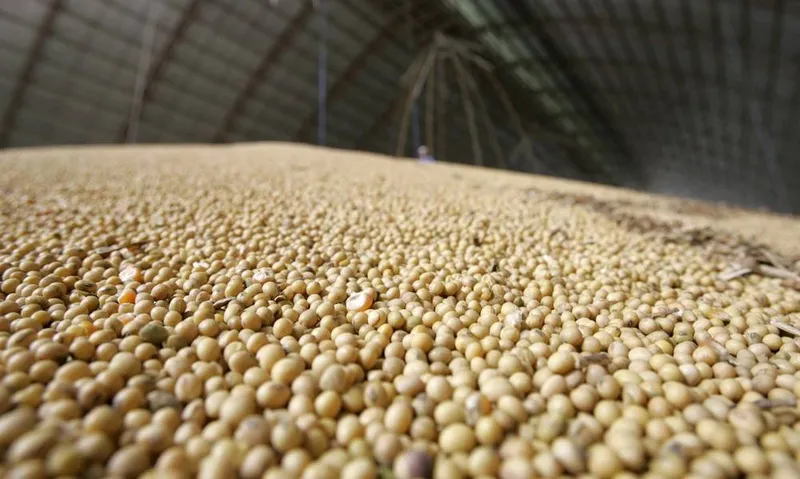 Saldo da balança comercial em 2020 superou em US$ 2,9 bilhões o resultado de 2019