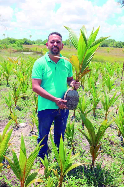 Antonino Carvalho declarou que mudário é o futuro da cooperativa e da produção de coco na região