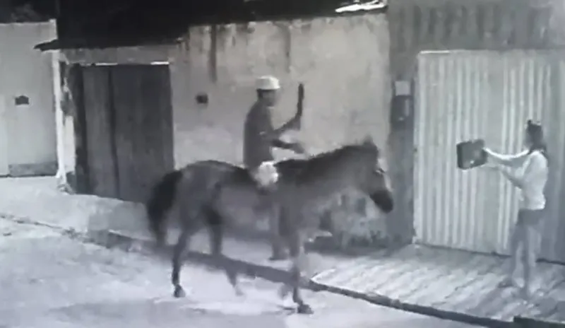 Imagem ilustrativa da imagem HOMEM A CAVALO E COM FACÃO ASSALTA MULHER EM MACEIÓ