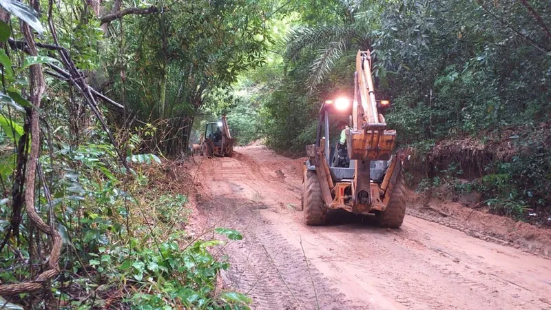 Imagem ilustrativa da imagem PARQUE MUNICIPAL É FECHADO PARA MANUTENÇÃO