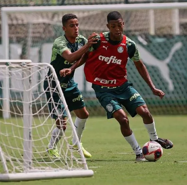 Palmeirenses até se prepararam para enfrentar o time de Sorocaba em MG, mas não irão entrar em campo