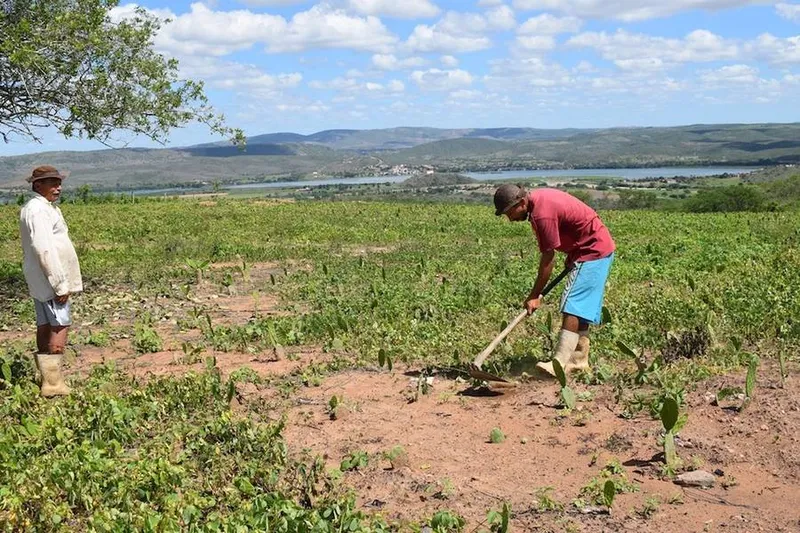 Reforma Agrária dos governos Renan Filho (MDB) e federal não saiu do papel. É perceptível a falta de interesse em acabar com os acampamentos de lona dos trabalhadores rurais