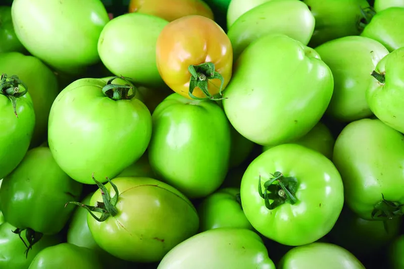 Imagem ilustrativa da imagem SUPER TOMATES
