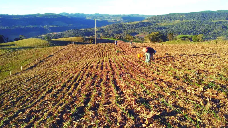 Agricultores aguardam com expectativa a distribuição das sementes pelo Estado