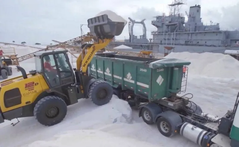 Sal importado pela Braskem chega pelo Porto de Maceió

