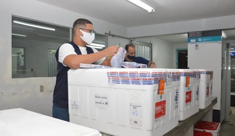 Imagem ilustrativa da imagem NOVAS DOSES DA VACINA CHEGAM A AL E COMEÇAM A SER DISTRIBUÍDAS HOJE