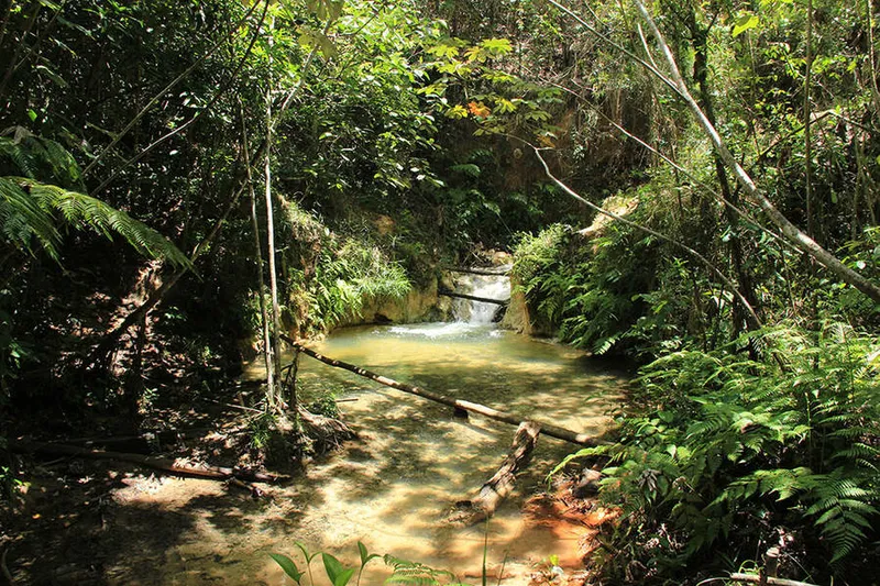 Imagem ilustrativa da imagem Responsabilidade Ambiental