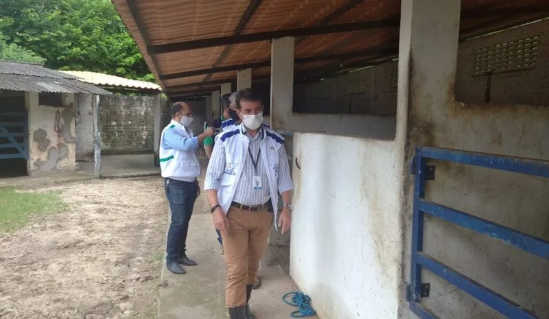 Imagem ilustrativa da imagem VIGILÂNCIA NOTIFICA HARAS POR IRREGULARIDADES