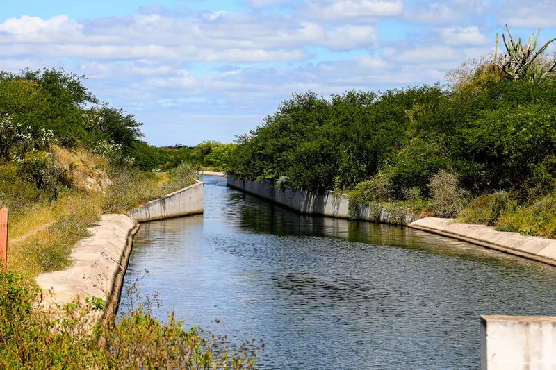 Mato avança sobre a estrutura do Canal do Sertão e ilustra o cenário de abandono do projeto pelo interior de Alagoas