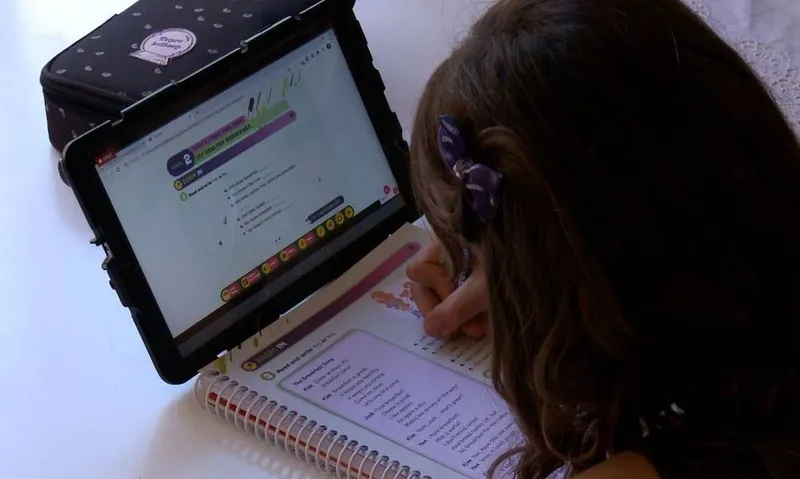 Imagem ilustrativa da imagem AULAS REMOTAS: APENAS 2% DAS ESCOLAS DE ALAGOAS FORNECERAM INTERNET PARA ALUNOS