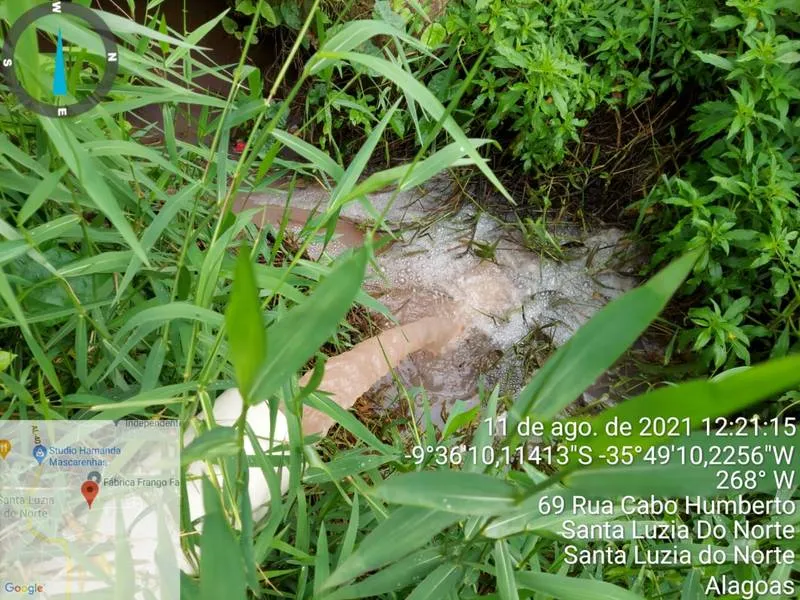 Imagem ilustrativa da imagem AVÍCOLA TEM ATIVIDADE EMBARGADA POR LANÇAR EFLUENTES EM ÁREA DE PROTEÇÃO