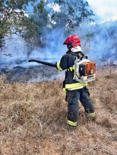 Imagem ilustrativa da imagem CORPO DE BOMBEIROS REGISTRA MAIS DE 1.300 INCÊNDIOS EM 2020 E 2021