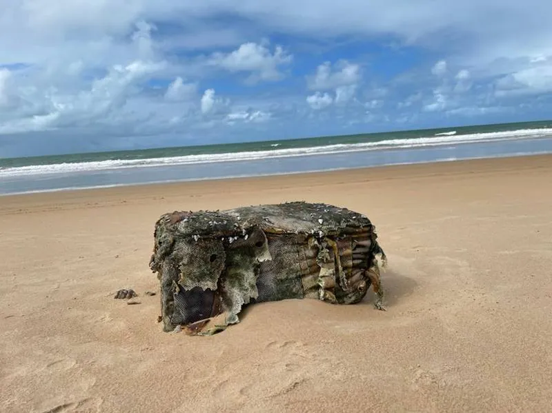 Imagem ilustrativa da imagem FARDOS ORIUNDOS DE NAVIO NAZISTA NAVEGAM CERCA DE 4 MESES PARA CHEGAR A ALAGOAS
