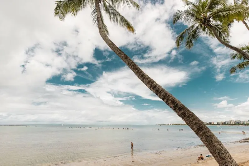 Imagem ilustrativa da imagem MACEIÓ SE PREPARA PARA O MELHOR VERÃO DOS ÚLTIMOS ANOS
