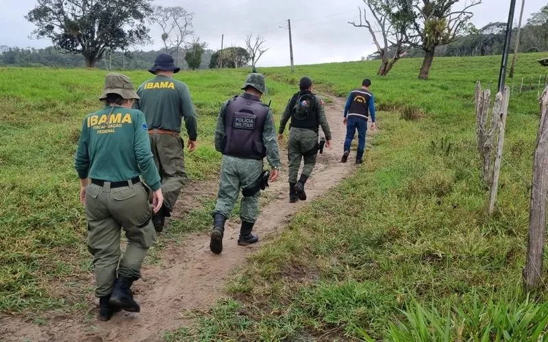 Imagem ilustrativa da imagem OPERAÇÃO REGISTRA MAIS DE 160 HECTARES DE DESMATAMENTO ILEGAL