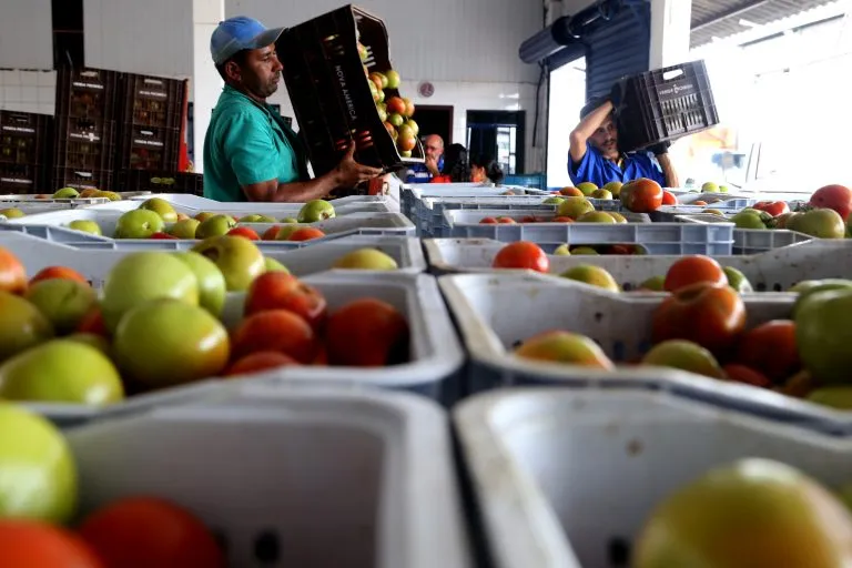 Ideia é incentivar doação de alimentos sem que os doadores sejam penalizados por eventuais problemas aos beneficiados