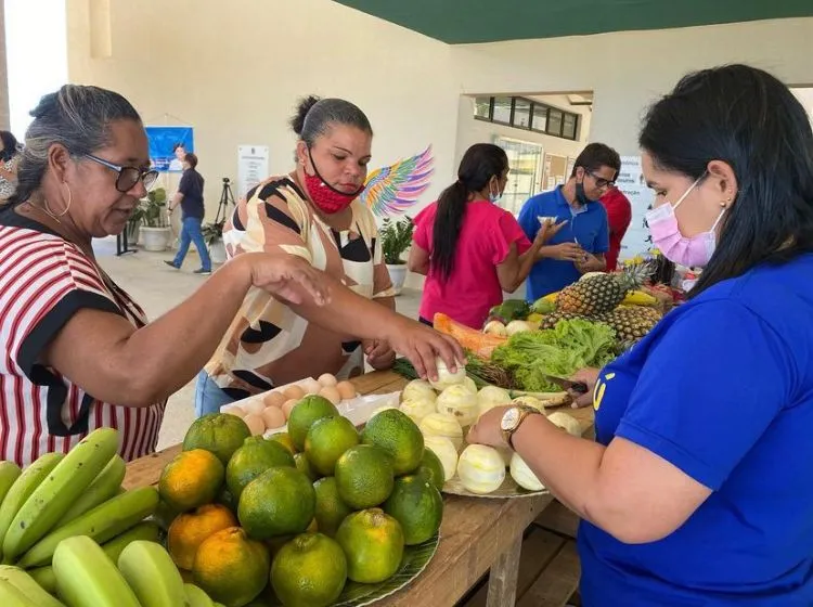 Imagem ilustrativa da imagem AL NÃO CUMPRE A LEI DA MERENDA COM PRODUTOS DA AGRICULTURA FAMILIAR