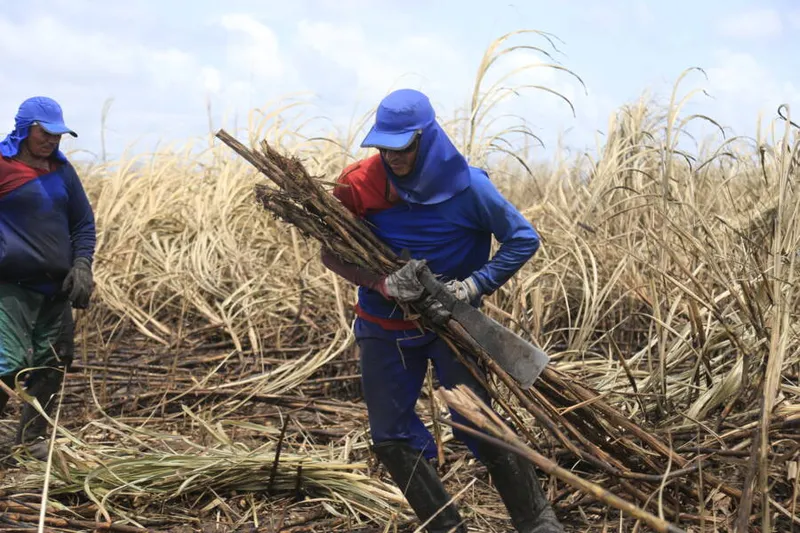 Imagem ilustrativa da imagem ALAGOAS FECHOU MAIS DE 10 MIL POSTOS DE TRABALHO EM MARÇO