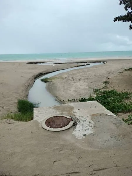 Imagem ilustrativa da imagem BARRAQUEIROS DA ORLA RELATAM PREJUÍZOS DE 30% POR LÍNGUAS SUJAS