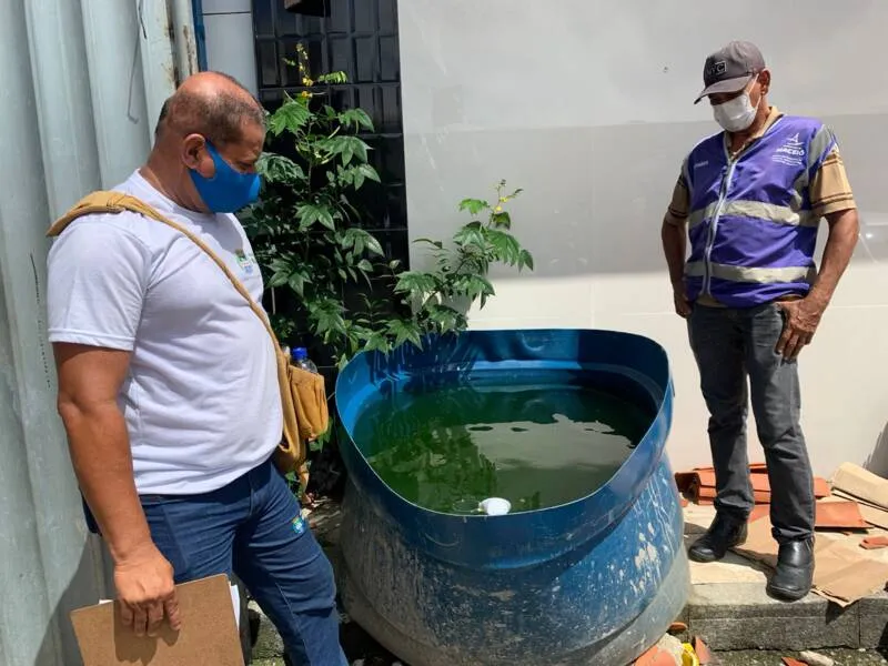 Imagem ilustrativa da imagem CASOS CONFIRMADOS DE DENGUE AUMENTAM QUASE SETE VEZES EM AL