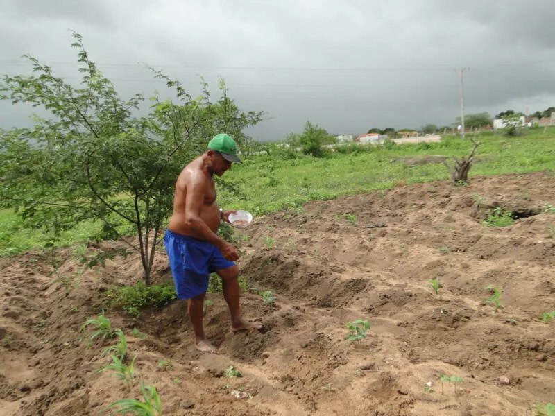 A agricultura familiar foi uma das áreas mais desprezadas pelo governador Renan Filho