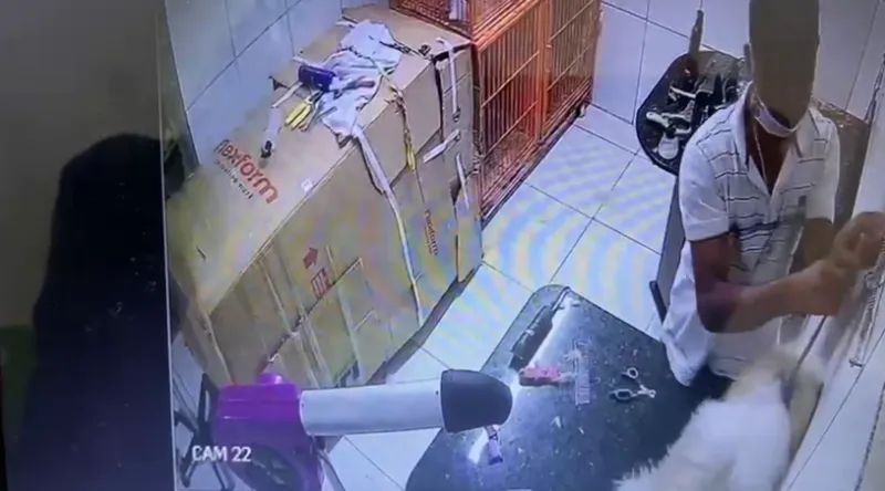 Imagem ilustrativa da imagem FUNCIONÁRIO DE CLÍNICA VETERINÁRIA É PRESO SUSPEITO DE MATAR CACHORRO EM MACEIÓ