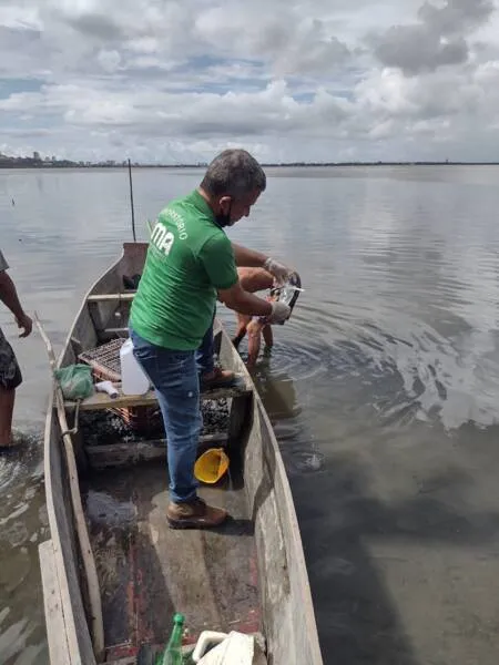 Imagem ilustrativa da imagem MPF PEDE INQUÉRITO SOBRE MORTANDADE DE PEIXES NA LAGOA MUNDAÚ
